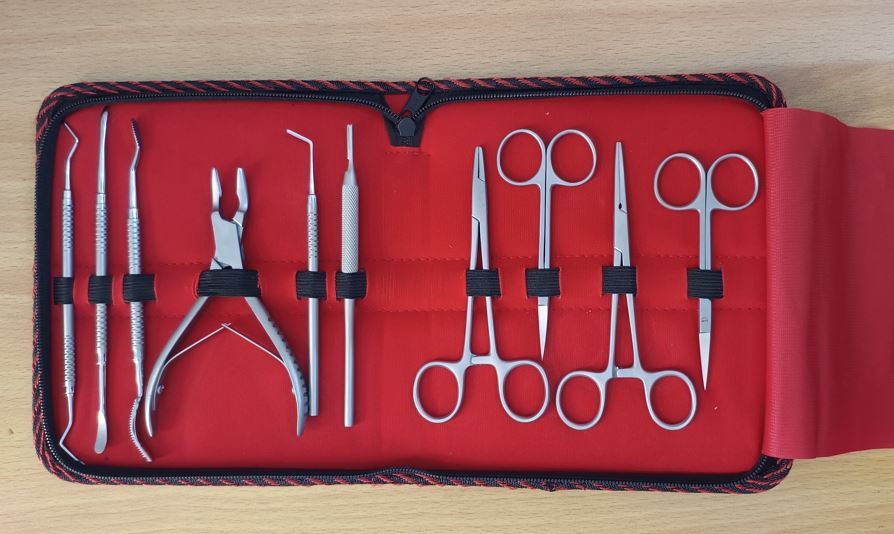 PANDENT Oral Surgery kit (set of 10)